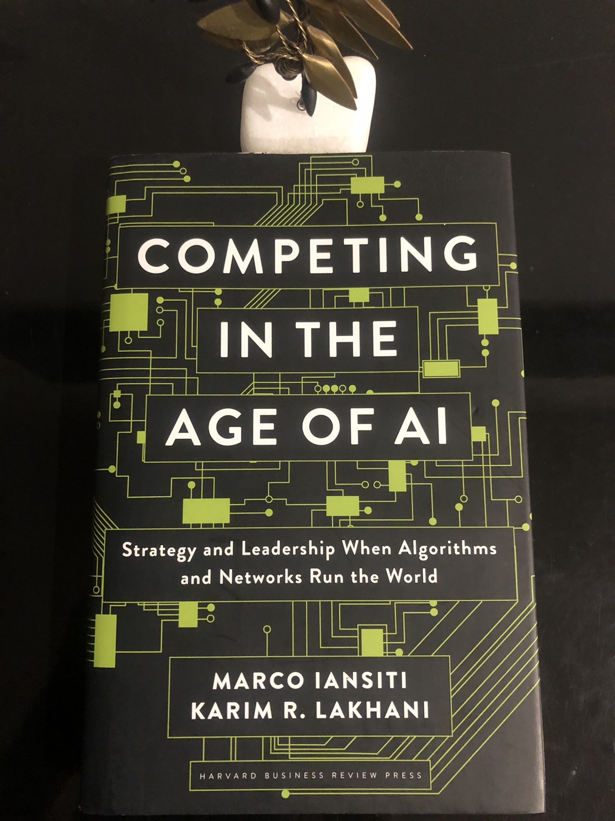 Competing In The Age Of AI M Iansiti/K R Lakhani Harvard B R Press 2020 F.Ed/6pr
