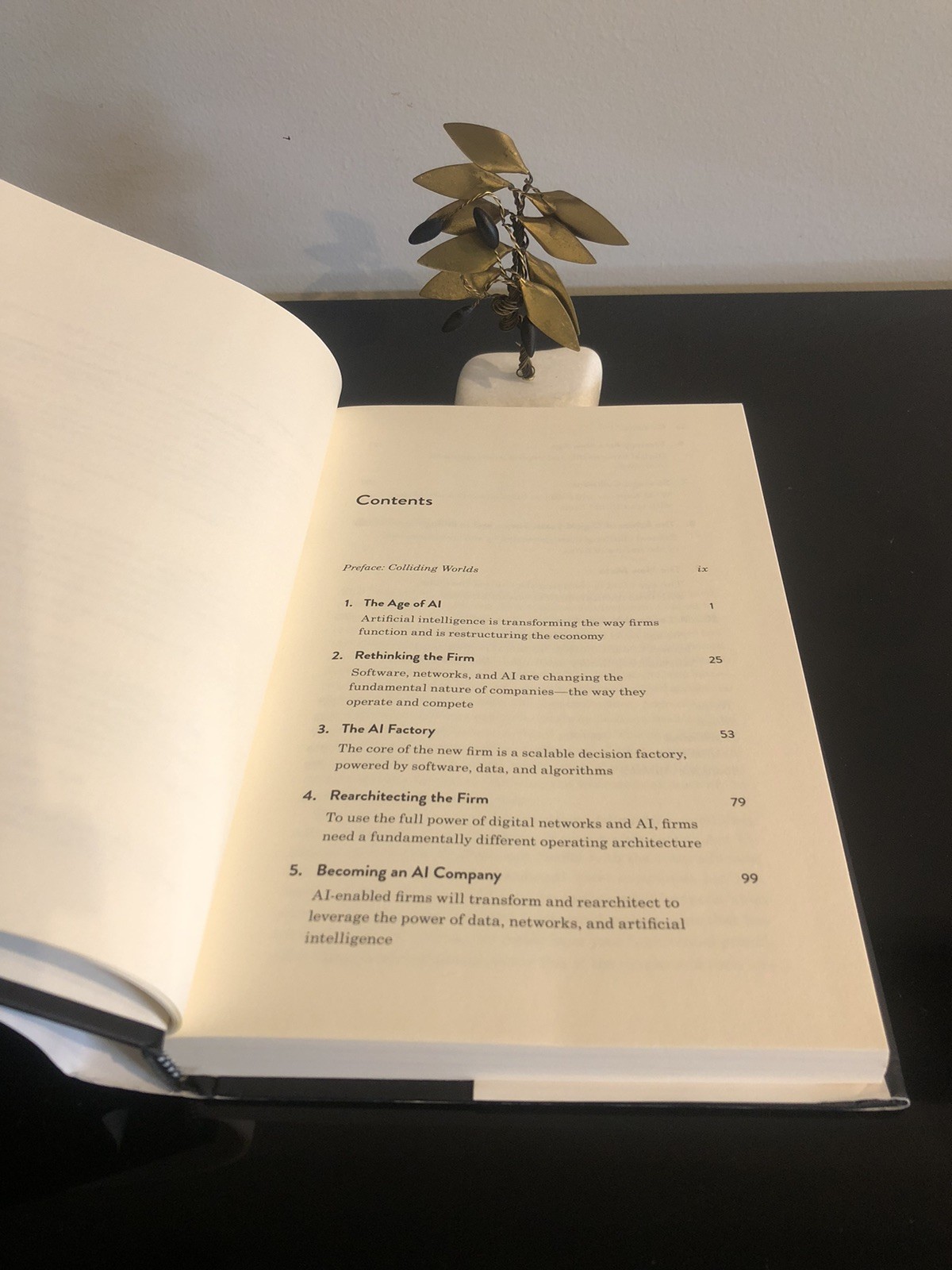 Competing In The Age Of AI M Iansiti/K R Lakhani Harvard B R Press 2020 F.Ed/6pr