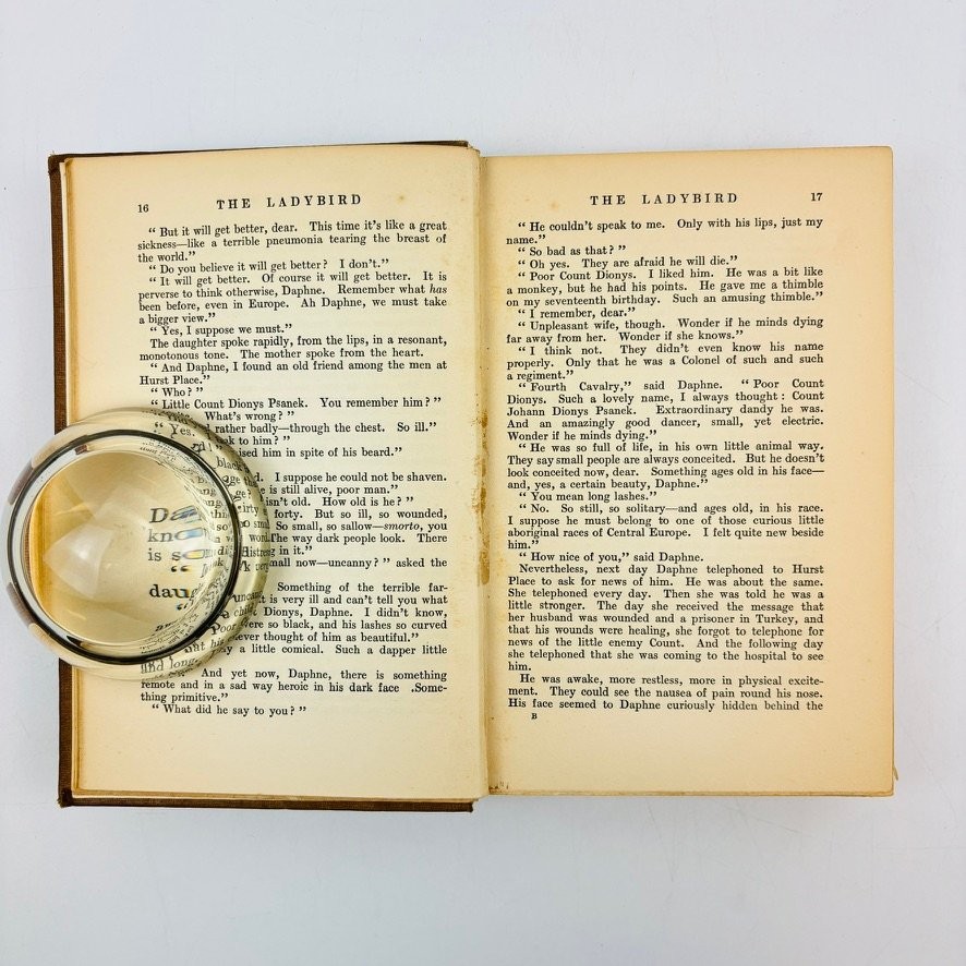 The Ladybird D.H. Lawrence 1923 First Edition Martin Secker Hardcover Fiction