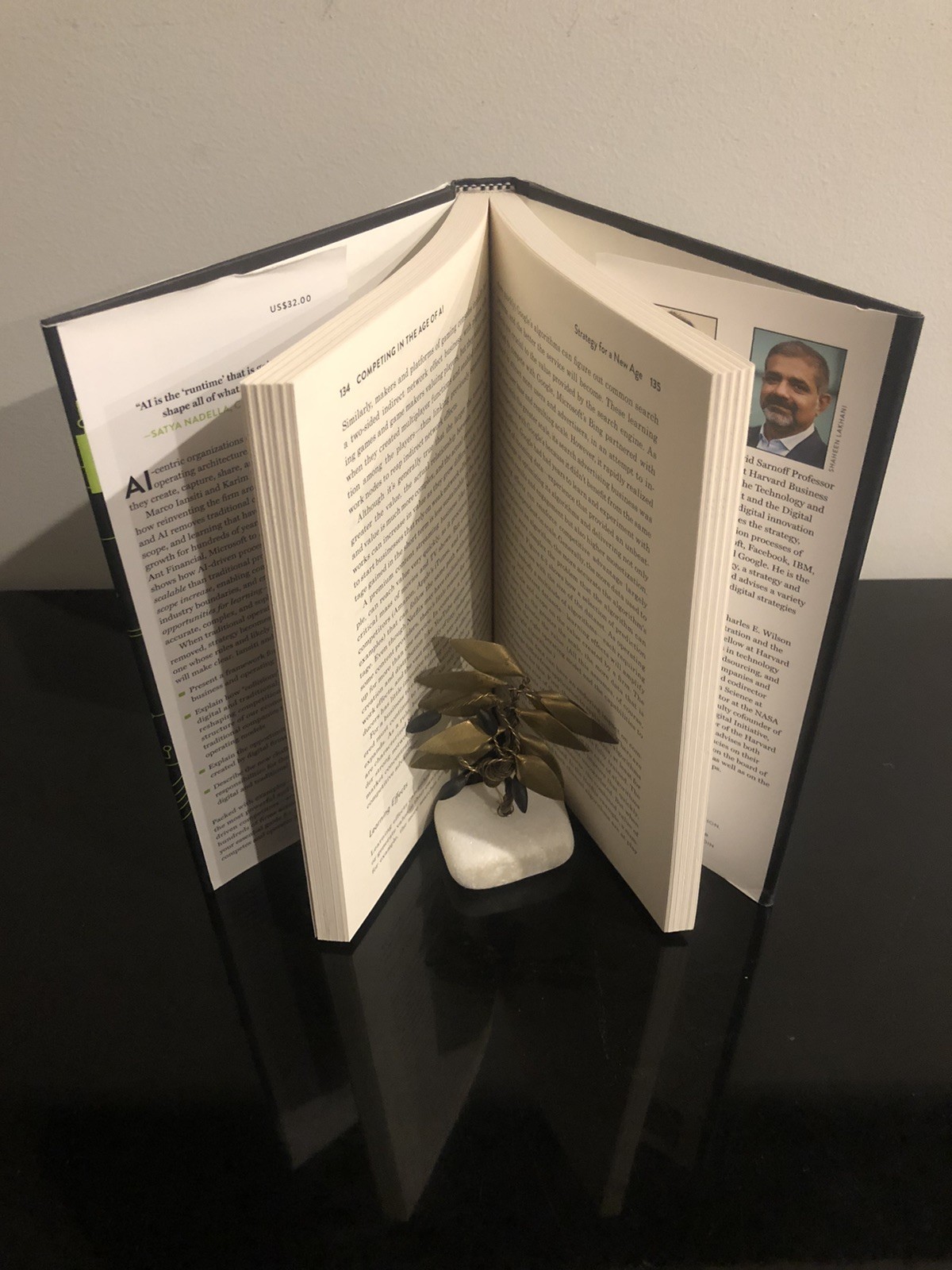 Competing In The Age Of AI M Iansiti/K R Lakhani Harvard B R Press 2020 F.Ed/6pr