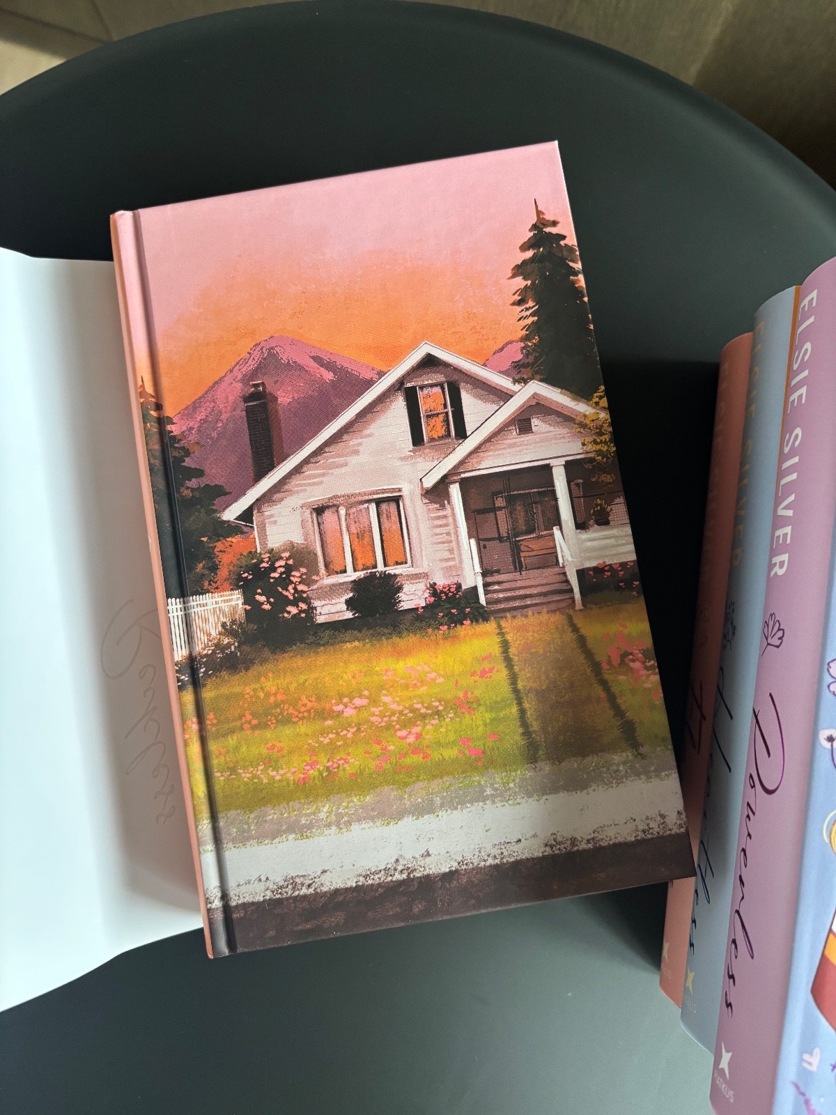 Fairyloot Chestnut Springs Series UNSIGNED by Elsie Silver Special Edition Set
