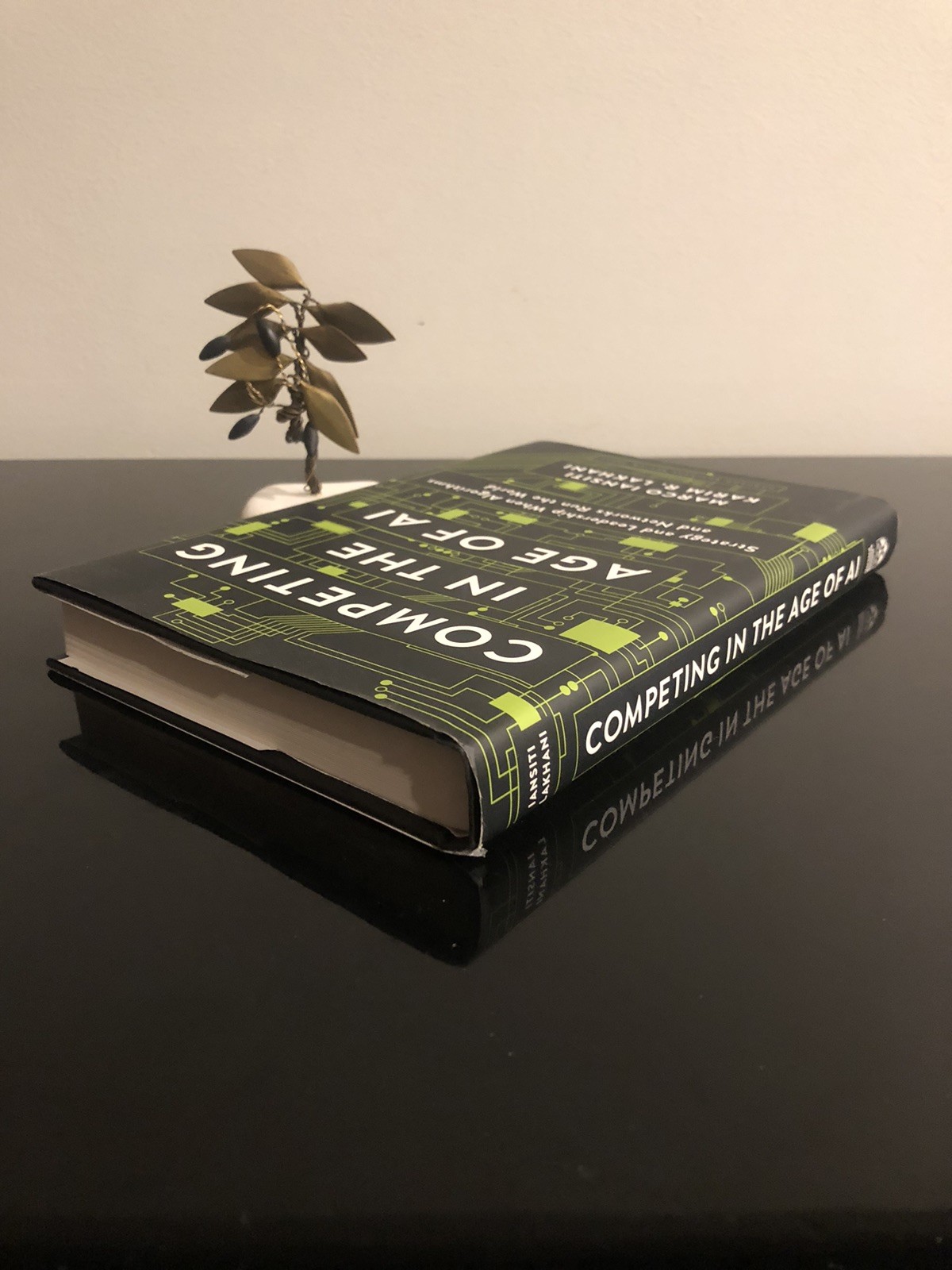 Competing In The Age Of AI M Iansiti/K R Lakhani Harvard B R Press 2020 F.Ed/6pr