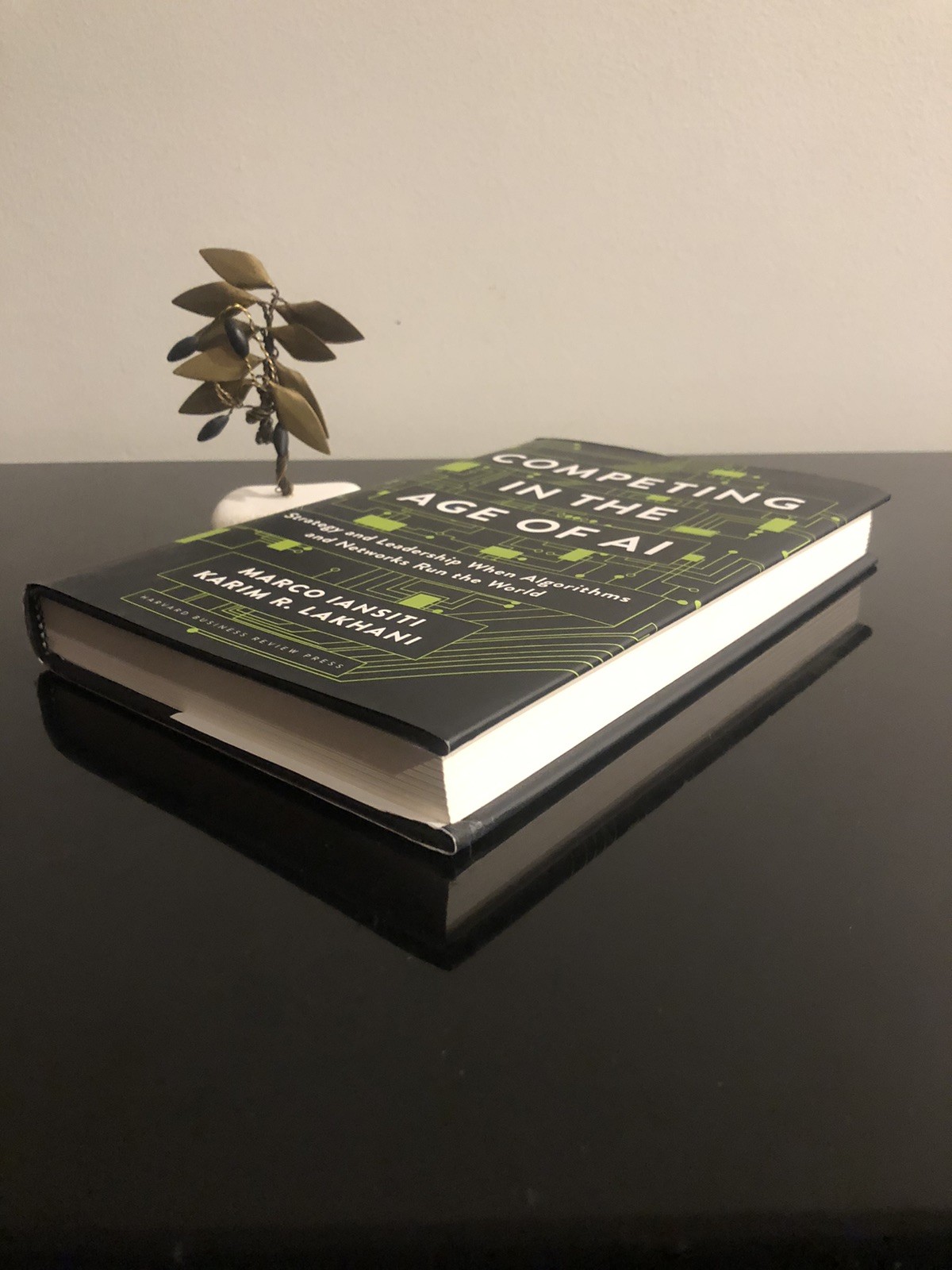 Competing In The Age Of AI M Iansiti/K R Lakhani Harvard B R Press 2020 F.Ed/6pr